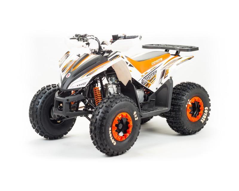 Квадроцикл MOTOLAND 125 Coyote (2021 Г.)