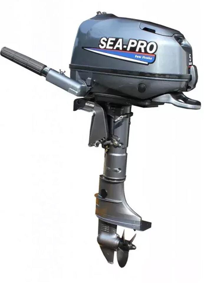 Large Image