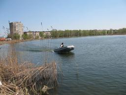 Image 11