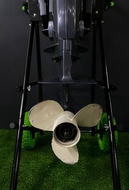 Image 4