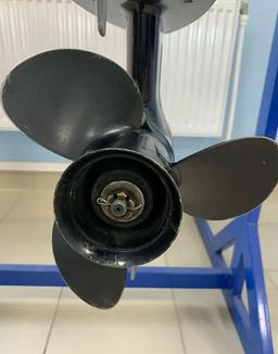 Image 5