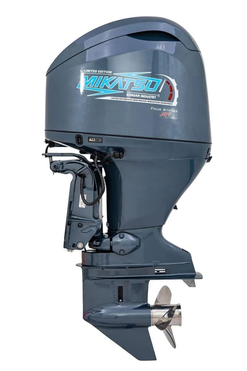 Large Image