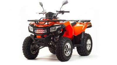 Квадроцикл MOTOLAND 200 Max