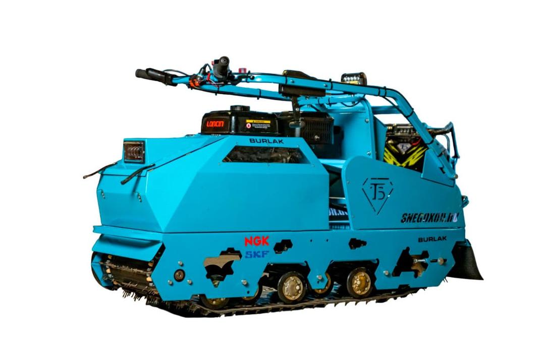 Large Image