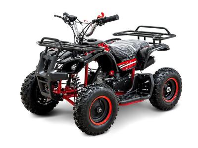 Квадроцикл MOTOLAND 50 Mini